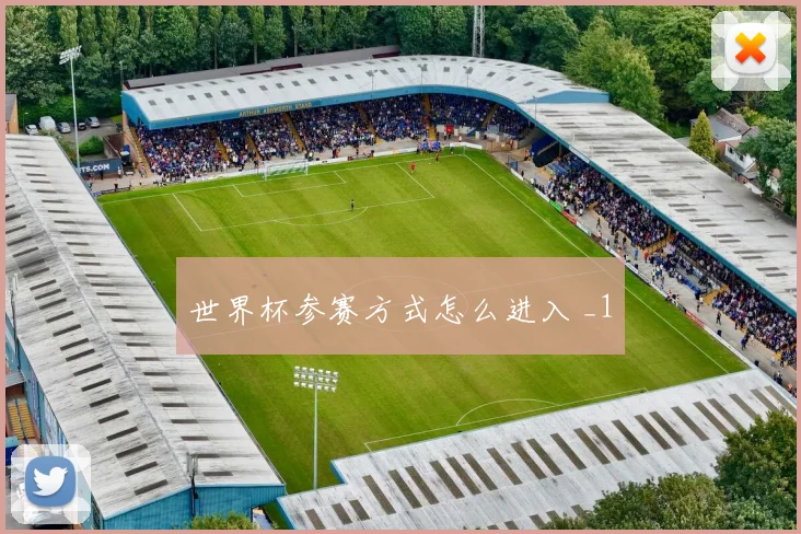世界杯参赛方式怎么进入 _1