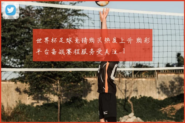 世界杯足球竞猜购买热度上升 购彩平台备战赛程服务受关注_1