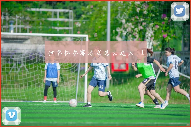 世界杯参赛方式怎么进入 _1